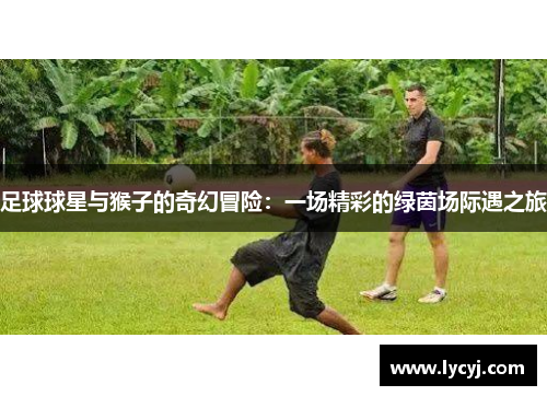 足球球星与猴子的奇幻冒险：一场精彩的绿茵场际遇之旅